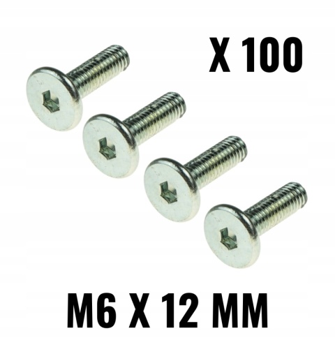 Wkręt z łbem walcowym płaskim imbus śruba M6x10 mm