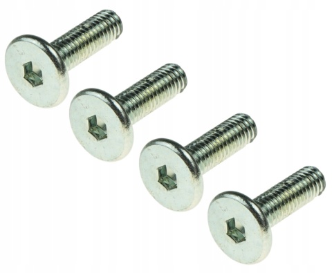Wkręt z łbem walcowym płaskim imbus śruba M6x100 mm 20 szt.