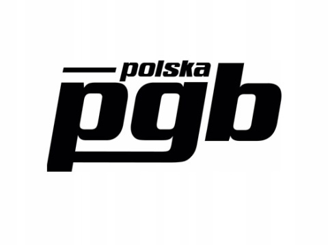 Wkręty do drewna PGB 6 x 30 mm 100 szt.