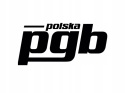 Wkręty do drewna PGB 6 x 30 mm 100 szt.